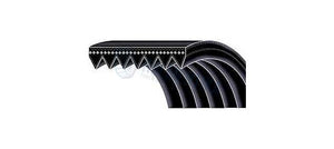 Curea de transmisie POLY V - profil PJ - 1092 mm Continental